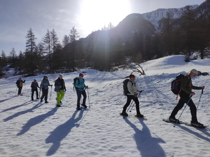 Randonnée en nature Alpes